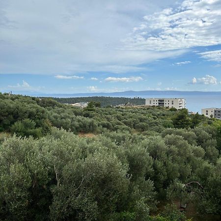 Apartment Mileta ماكارسكا المظهر الخارجي الصورة