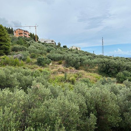 Apartment Mileta ماكارسكا المظهر الخارجي الصورة
